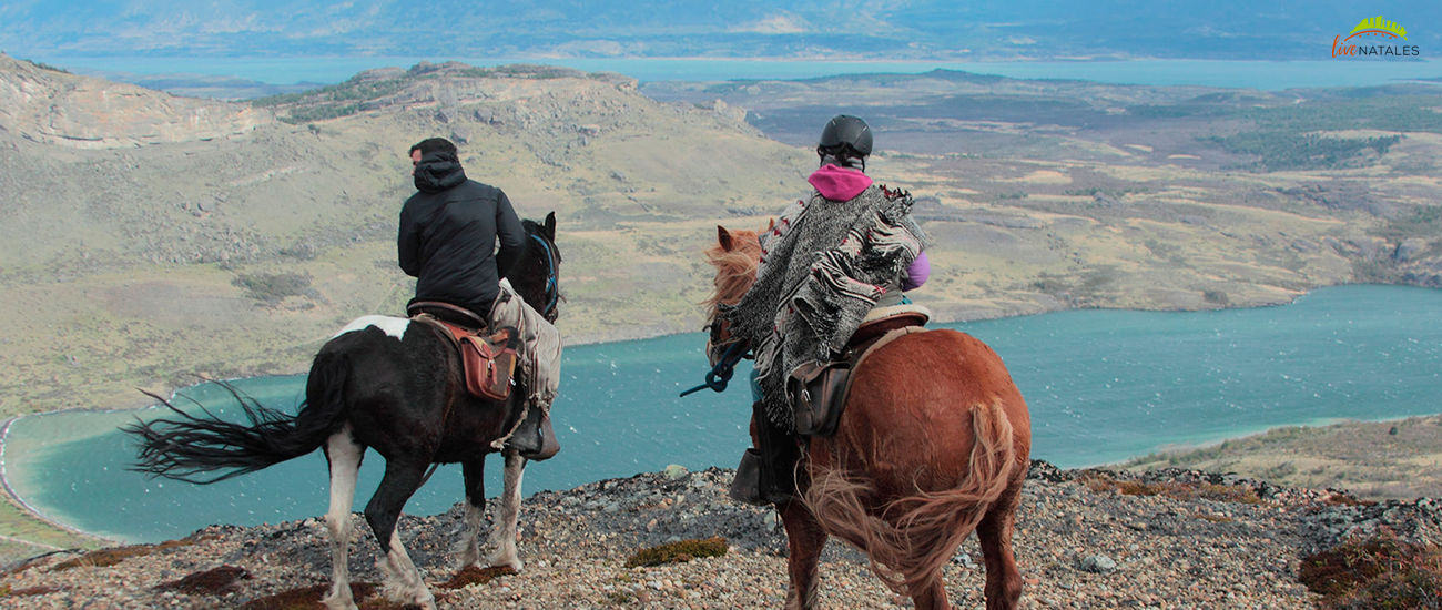 Torres del paine